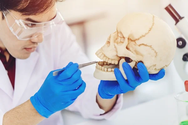 osteologia forense